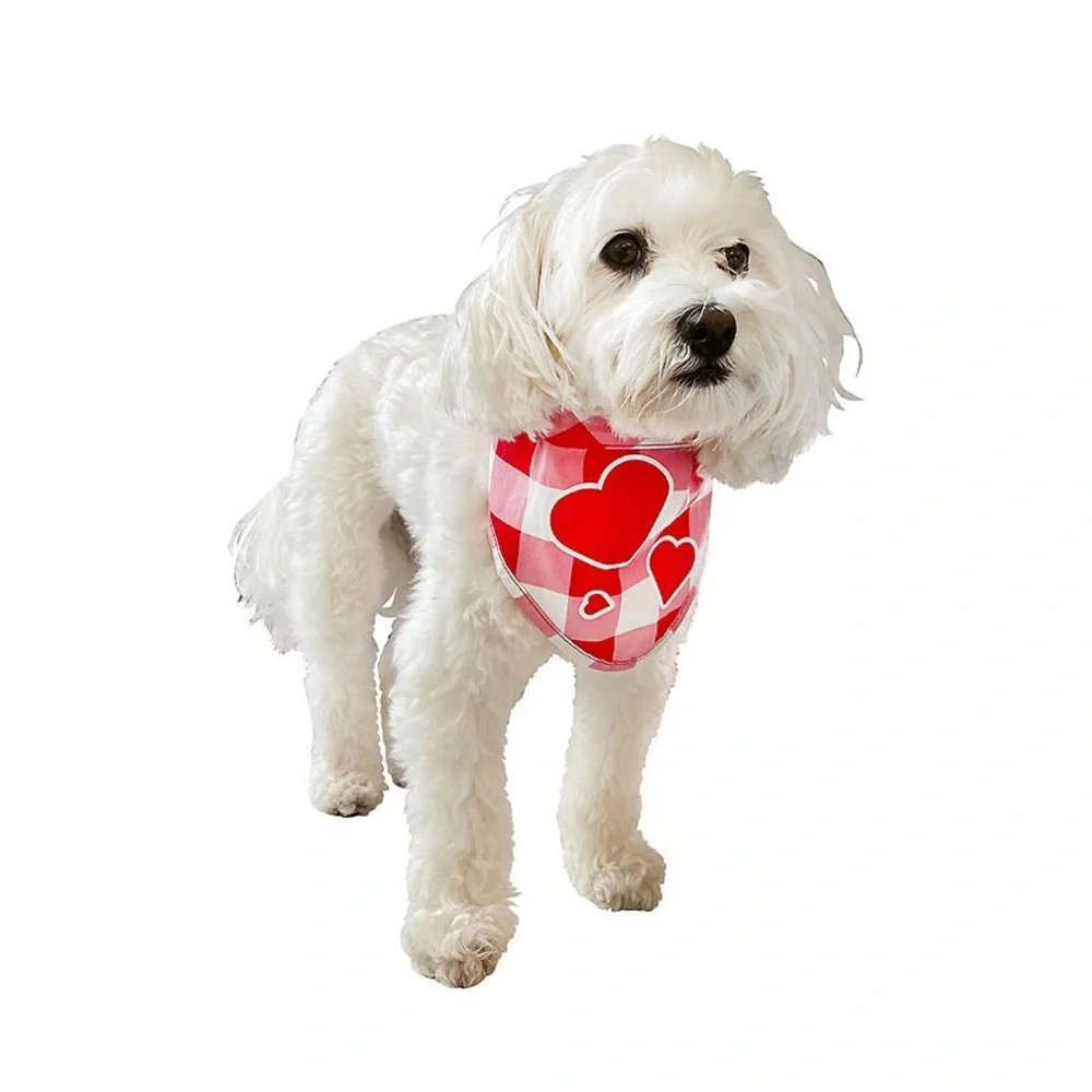 NWT Heart Patterned Pet Bandana Valentine’s Bandana Size 13”- 15” for small pets